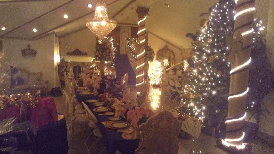 IMAG0590-TWINKLE.gif IMAG0590-TWINKLE.gif