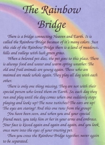 rainbowbridge.jpg